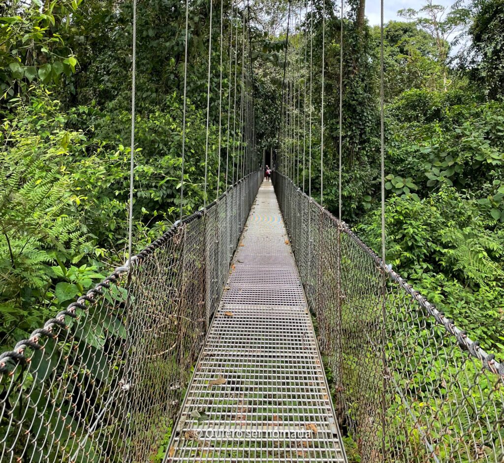 Puentes colgantes costa rica